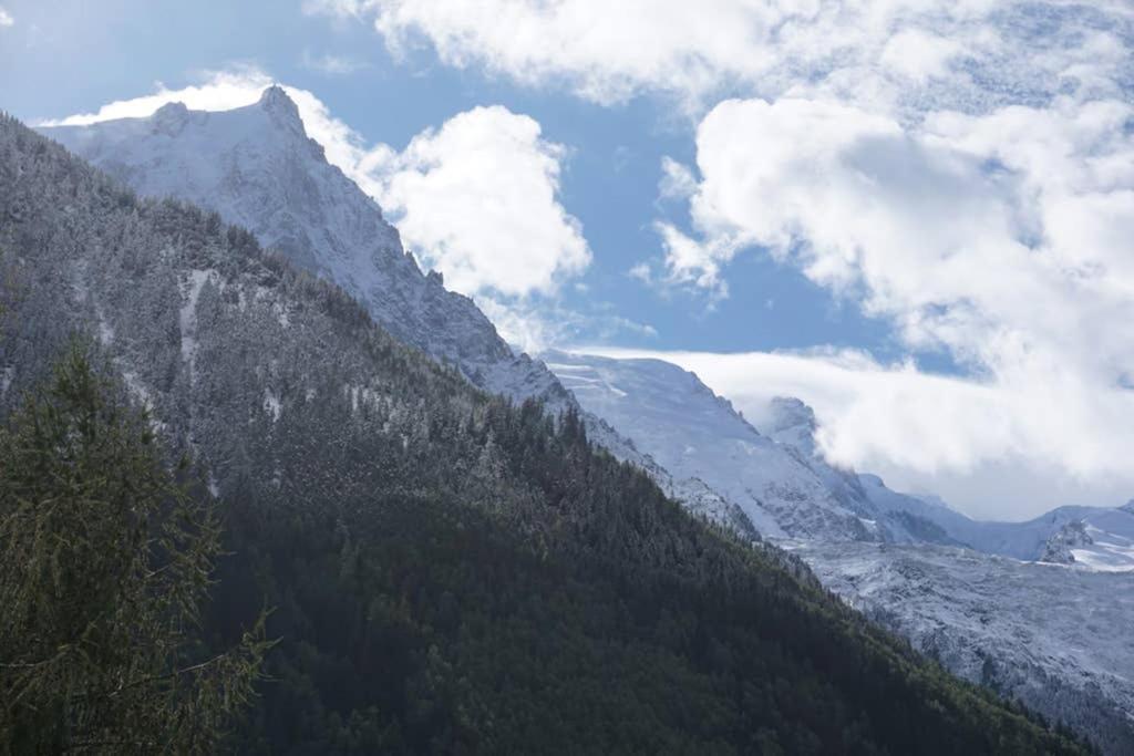 Studio Face Au Mont-Blanc Apartman Chamonix Kültér fotó