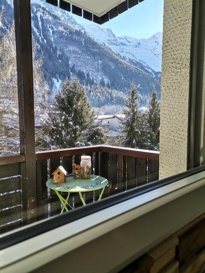 Studio Face Au Mont-Blanc Apartman Chamonix Kültér fotó